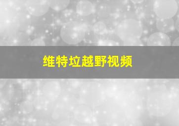 维特垃越野视频