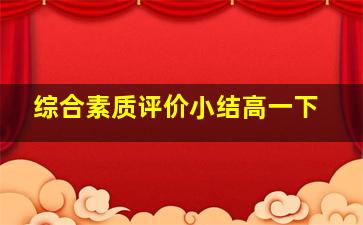 综合素质评价小结高一下