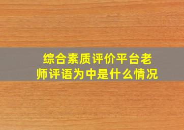 综合素质评价平台老师评语为中是什么情况