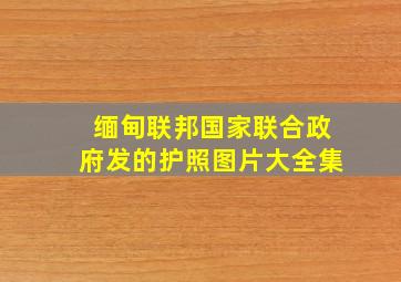 缅甸联邦国家联合政府发的护照图片大全集