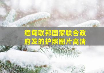 缅甸联邦国家联合政府发的护照图片高清