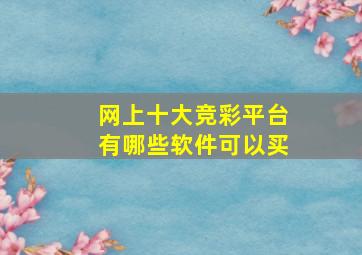 网上十大竞彩平台有哪些软件可以买