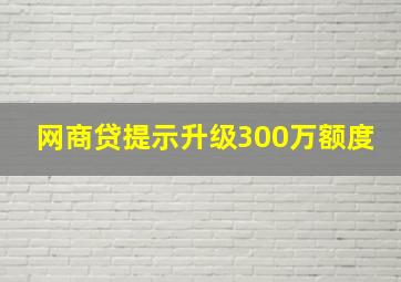 网商贷提示升级300万额度