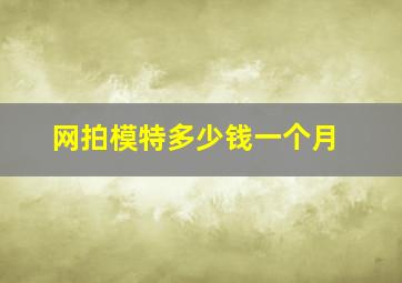 网拍模特多少钱一个月