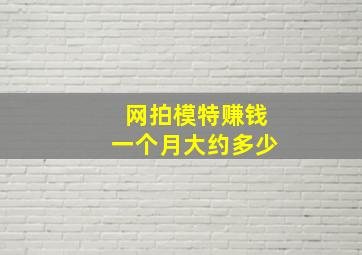 网拍模特赚钱一个月大约多少