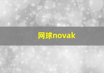 网球novak