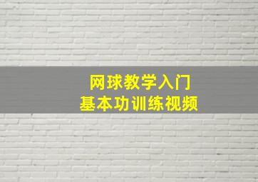 网球教学入门基本功训练视频