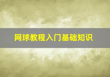 网球教程入门基础知识