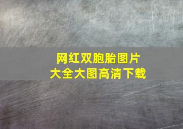 网红双胞胎图片大全大图高清下载