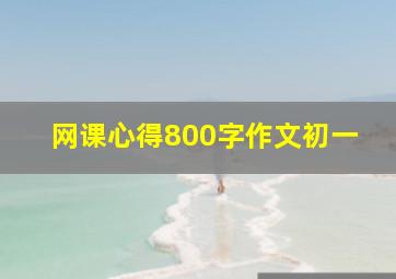 网课心得800字作文初一