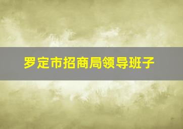 罗定市招商局领导班子