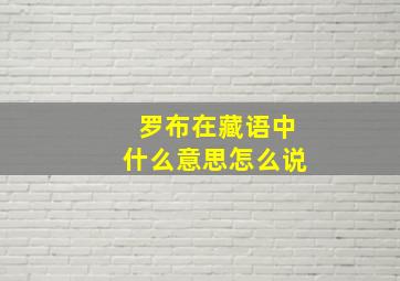 罗布在藏语中什么意思怎么说