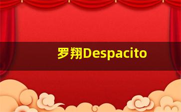 罗翔Despacito