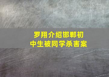 罗翔介绍邯郸初中生被同学杀害案