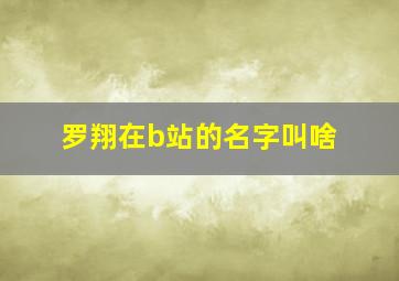 罗翔在b站的名字叫啥