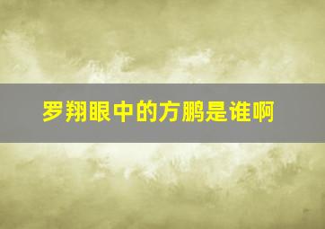 罗翔眼中的方鹏是谁啊