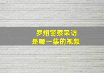 罗翔警察采访是哪一集的视频