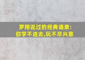 罗翔说过的经典语录:你学不进去,玩不尽兴意