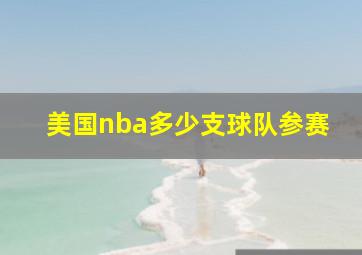 美国nba多少支球队参赛