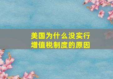 美国为什么没实行增值税制度的原因