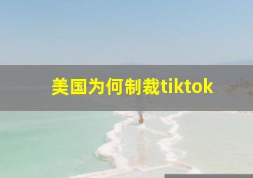 美国为何制裁tiktok