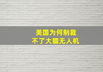 美国为何制裁不了大疆无人机