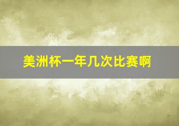 美洲杯一年几次比赛啊