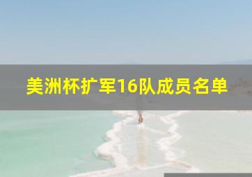 美洲杯扩军16队成员名单