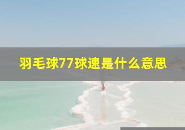 羽毛球77球速是什么意思