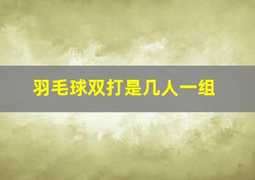 羽毛球双打是几人一组