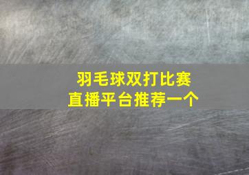 羽毛球双打比赛直播平台推荐一个