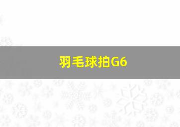 羽毛球拍G6