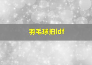 羽毛球拍ldf