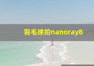 羽毛球拍nanoray8