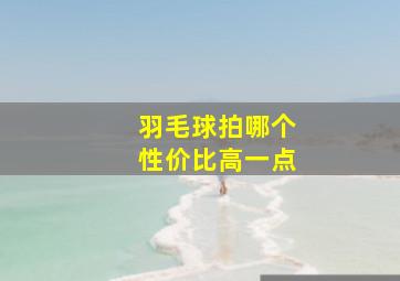 羽毛球拍哪个性价比高一点