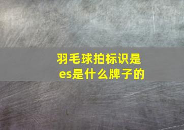 羽毛球拍标识是es是什么牌子的