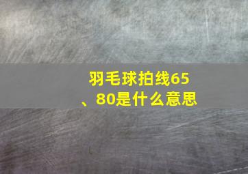 羽毛球拍线65、80是什么意思