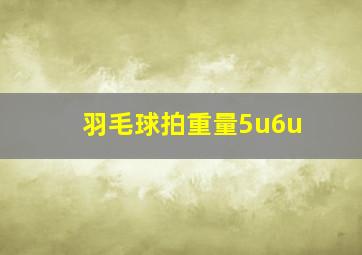 羽毛球拍重量5u6u