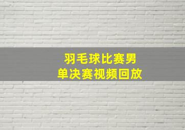 羽毛球比赛男单决赛视频回放