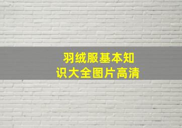 羽绒服基本知识大全图片高清