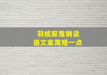 羽绒服推销话语文案简短一点