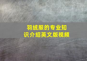 羽绒服的专业知识介绍英文版视频