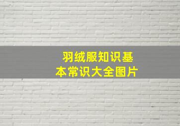 羽绒服知识基本常识大全图片