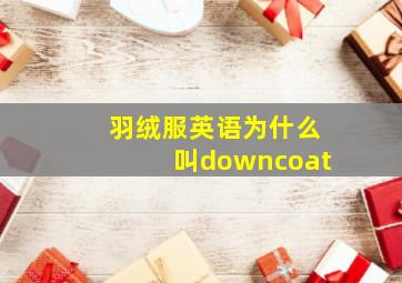 羽绒服英语为什么叫downcoat