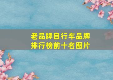 老品牌自行车品牌排行榜前十名图片