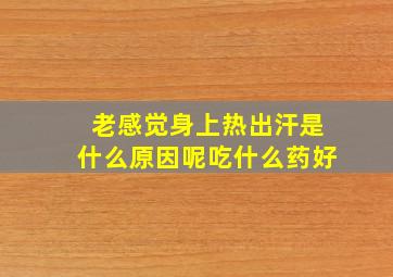 老感觉身上热出汗是什么原因呢吃什么药好