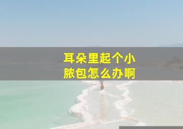 耳朵里起个小脓包怎么办啊