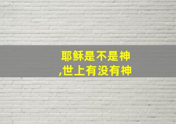 耶稣是不是神,世上有没有神