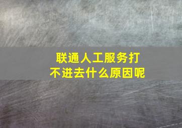 联通人工服务打不进去什么原因呢