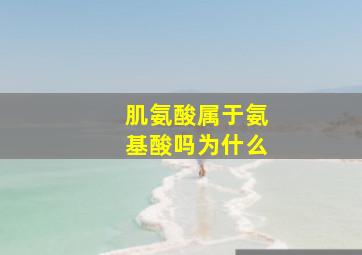 肌氨酸属于氨基酸吗为什么